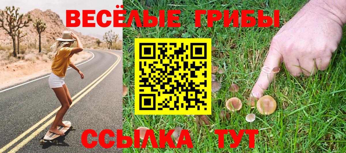 Псилоцибиновые грибы Magic Shrooms Ялуторовск